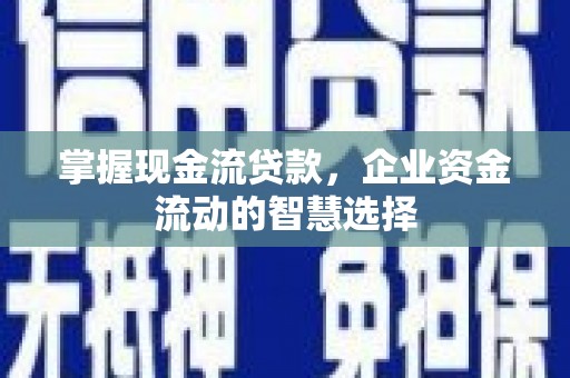 从化掌握现金流贷款，企业资金流动的智慧选择