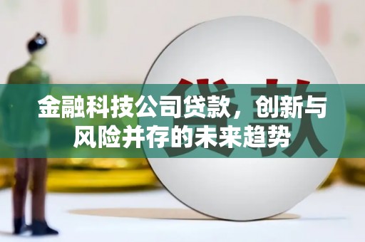 从化金融科技公司贷款，创新与风险并存的未来趋势