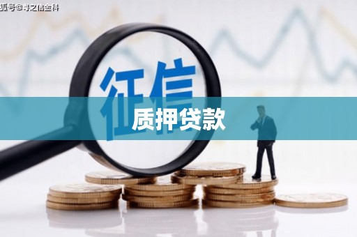从化质押贷款