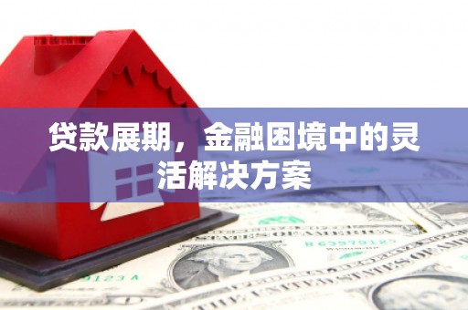 从化贷款展期，金融困境中的灵活解决方案