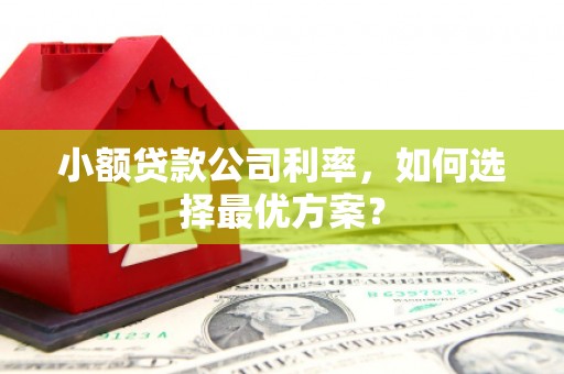 从化小额贷款公司利率，如何选择最优方案？