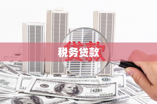 从化税务贷款