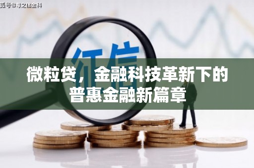 从化微粒贷，金融科技革新下的普惠金融新篇章