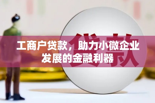 从化工商户贷款，助力小微企业发展的金融利器
