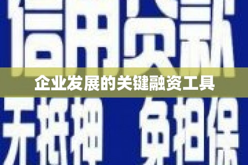从化企业发展的关键融资工具