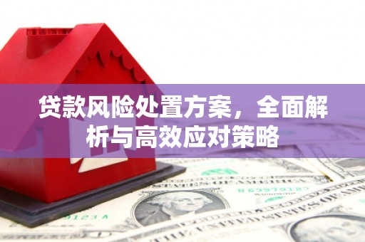 从化贷款风险处置方案，全面解析与高效应对策略