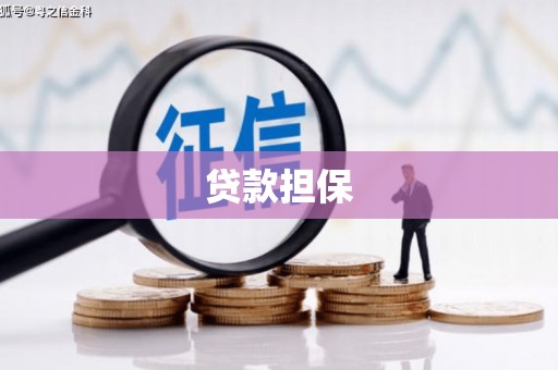 从化贷款担保