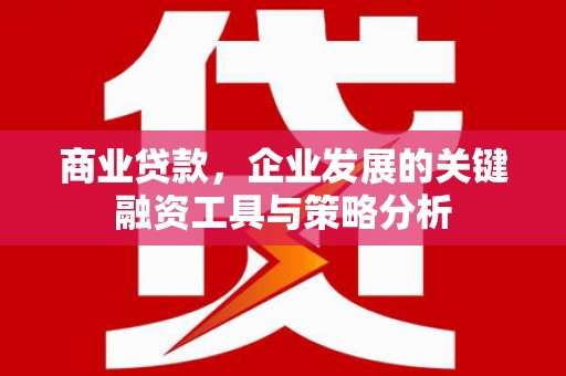 从化商业贷款，企业发展的关键融资工具与策略分析