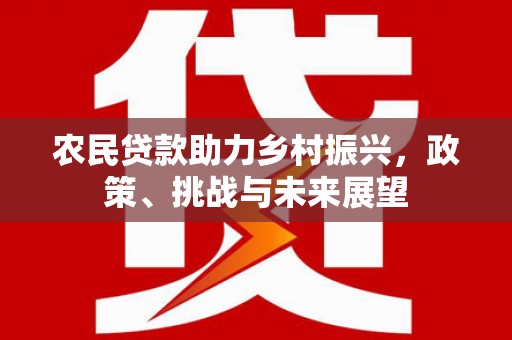 从化农民贷款助力乡村振兴，政策、挑战与未来展望