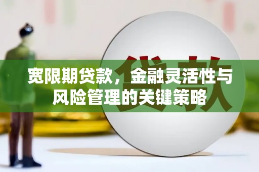 从化宽限期贷款，金融灵活性与风险管理的关键策略