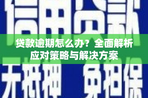 从化贷款逾期怎么办？全面解析应对策略与解决方案