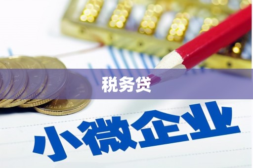 从化税务贷