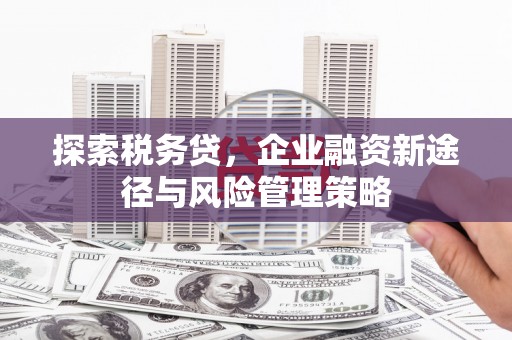 从化探索税务贷，企业融资新途径与风险管理策略