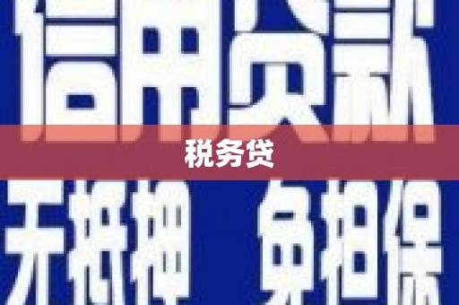从化税务贷