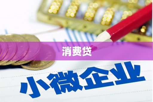 从化消费贷