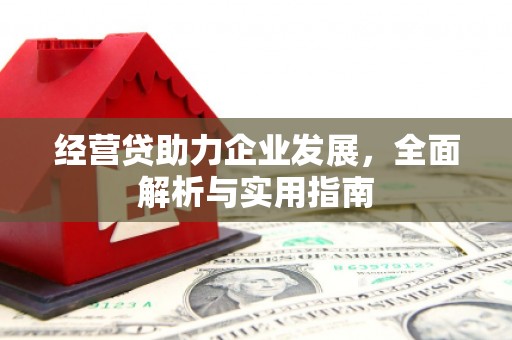 从化经营贷助力企业发展，全面解析与实用指南