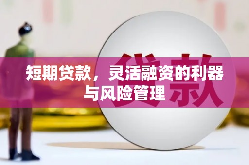 从化短期贷款，灵活融资的利器与风险管理