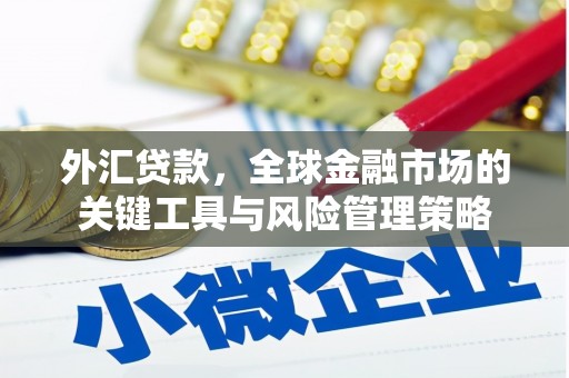 从化外汇贷款，全球金融市场的关键工具与风险管理策略