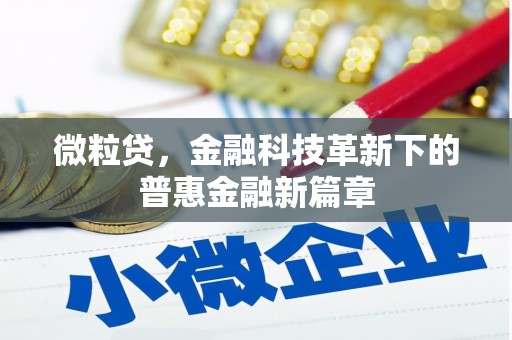 从化微粒贷，金融科技革新下的普惠金融新篇章