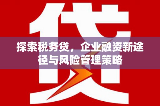从化探索税务贷，企业融资新途径与风险管理策略