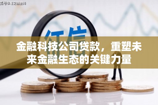 从化金融科技公司贷款，重塑未来金融生态的关键力量