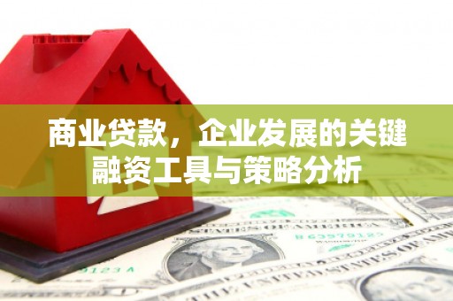 从化商业贷款，企业发展的关键融资工具与策略分析