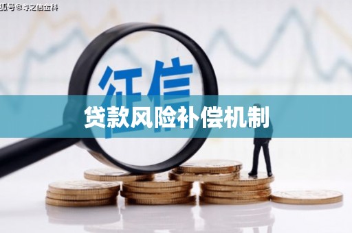 从化贷款风险补偿机制