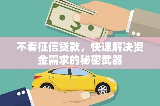 从化不看征信贷款，快速解决资金需求的秘密武器