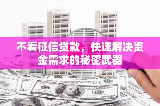 从化不看征信贷款，快速解决资金需求的秘密武器