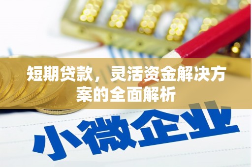 从化短期贷款，灵活资金解决方案的全面解析
