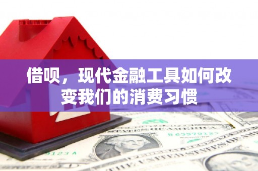 从化借呗，现代金融工具如何改变我们的消费习惯