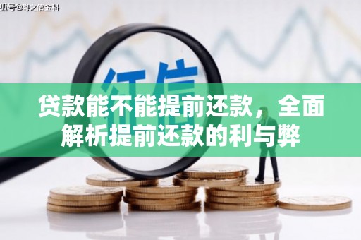 从化贷款能不能提前还款，全面解析提前还款的利与弊