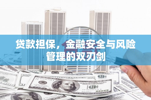 从化贷款担保，金融安全与风险管理的双刃剑