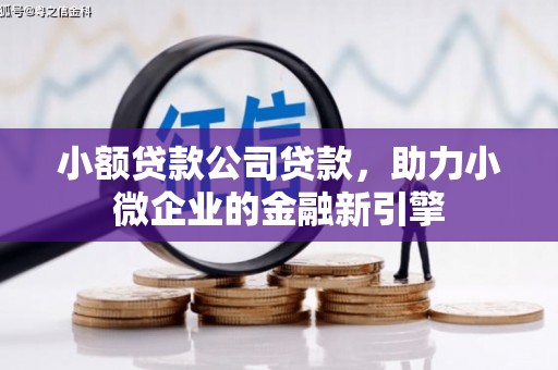 从化小额贷款公司贷款，助力小微企业的金融新引擎