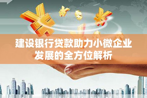 从化建设银行贷款助力小微企业发展的全方位解析