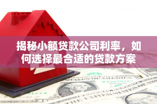 从化揭秘小额贷款公司利率，如何选择最合适的贷款方案