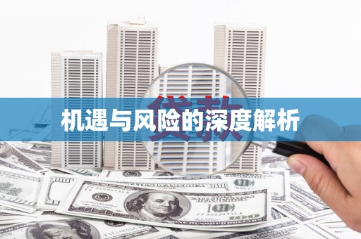 从化机遇与风险的深度解析