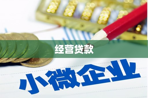 从化经营贷款