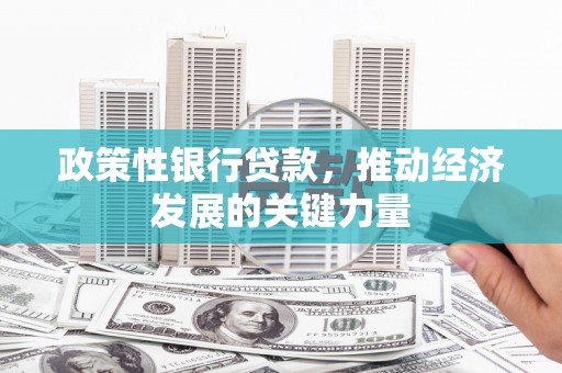 从化政策性银行贷款，推动经济发展的关键力量