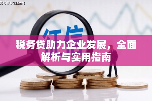 从化税务贷助力企业发展，全面解析与实用指南