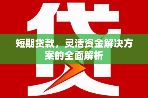 从化短期贷款，灵活资金解决方案的全面解析