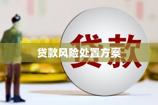 从化贷款风险处置方案