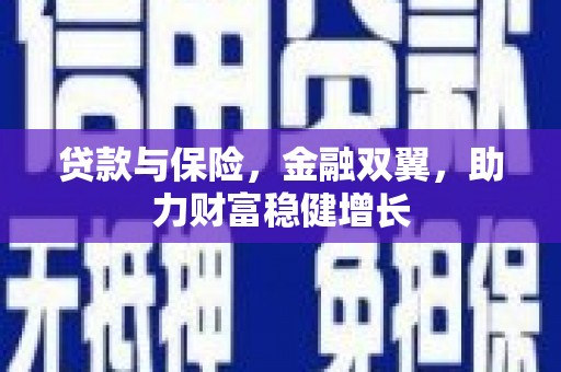 从化贷款与保险，金融双翼，助力财富稳健增长