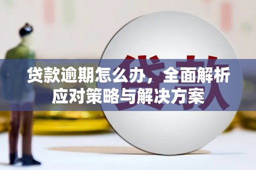 从化贷款逾期怎么办，全面解析应对策略与解决方案