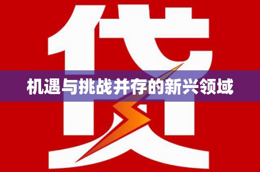 从化机遇与挑战并存的新兴领域