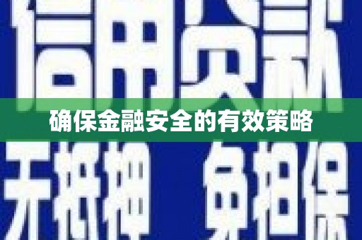 从化确保金融安全的有效策略
