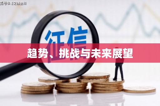 从化趋势、挑战与未来展望