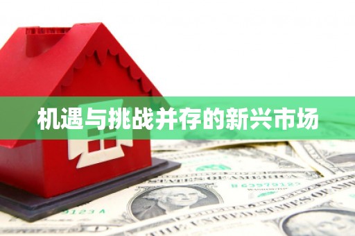 从化机遇与挑战并存的新兴市场