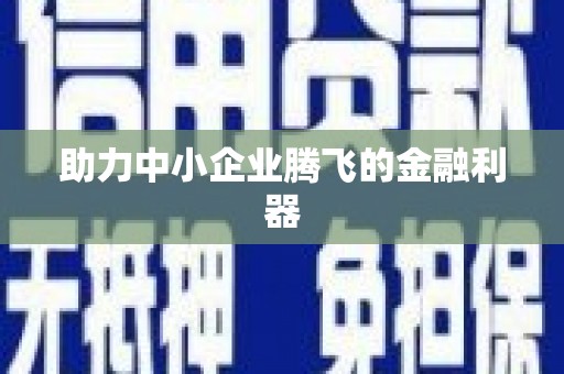 从化助力中小企业腾飞的金融利器
