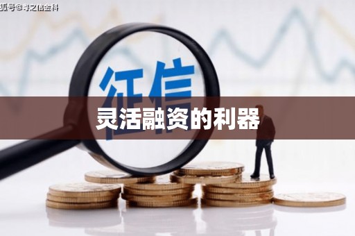 从化灵活融资的利器